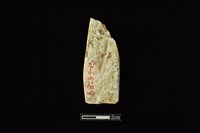 錛鑿形器藏品圖，第2張