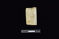 錛鑿形器藏品圖，第2張