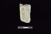 錛鑿形器藏品圖，第2張