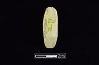 錛鑿形器藏品圖，第1張