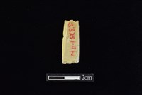錛鑿形器藏品圖，第2張