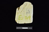 錛鑿形器藏品圖，第2張