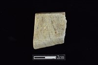 錛鑿形器藏品圖，第1張
