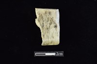 錛鑿形器藏品圖，第1張