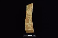 錛鑿形器藏品圖，第1張