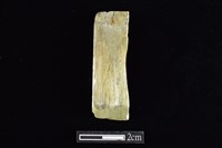 錛鑿形器藏品圖，第1張