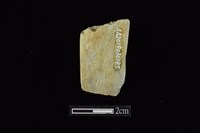 錛鑿形器藏品圖，第2張