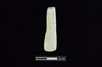 錛鑿形器藏品圖，第2張