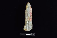 錛鑿形器藏品圖，第2張