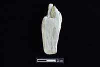 錛鑿形器藏品圖，第1張