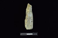 錛鑿形器藏品圖，第2張