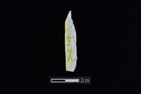錛鑿形器藏品圖，第2張