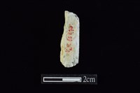 錛鑿形器藏品圖，第2張