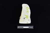 錛鑿形器藏品圖，第2張
