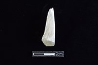 錛鑿形器藏品圖，第1張
