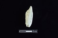 錛鑿形器藏品圖，第2張