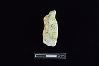 錛鑿形器藏品圖，第2張