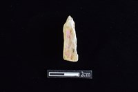 錛鑿形器藏品圖，第2張