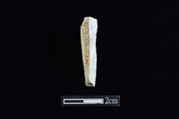 錛鑿形器藏品圖，第1張