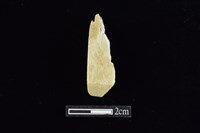 錛鑿形器藏品圖，第1張