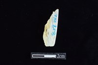 錛鑿形器藏品圖，第2張