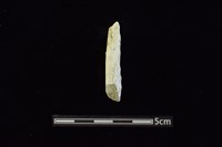 錛鑿形器藏品圖，第1張