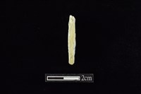 錛鑿形器藏品圖，第1張