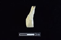 錛鑿形器藏品圖，第1張