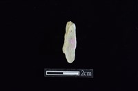 錛鑿形器藏品圖，第2張