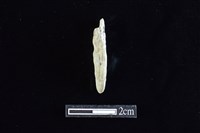 錛鑿形器藏品圖，第1張