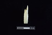 錛鑿形器藏品圖，第1張