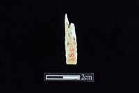 錛鑿形器藏品圖，第2張