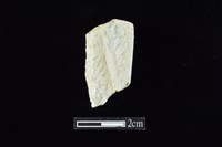 錛鑿形器藏品圖，第2張