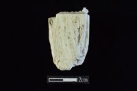 錛鑿形器藏品圖，第1張