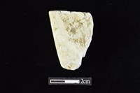 錛鑿形器藏品圖，第2張