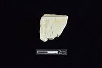 錛鑿形器藏品圖，第2張