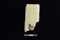 錛鑿形器藏品圖，第1張