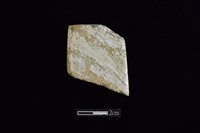 錛鑿形器藏品圖，第1張