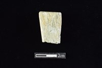 錛鑿形器藏品圖，第1張