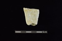 錛鑿形器藏品圖，第1張