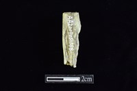 錛鑿形器藏品圖，第2張