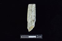 錛鑿形器藏品圖，第2張