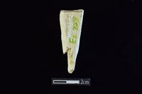 錛鑿形器藏品圖，第1張