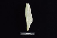 錛鑿形器藏品圖，第1張