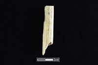 錛鑿形器藏品圖，第2張