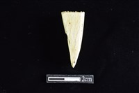 錛鑿形器藏品圖，第2張
