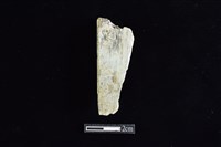 錛鑿形器藏品圖，第1張