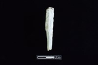 錛鑿形器藏品圖，第1張