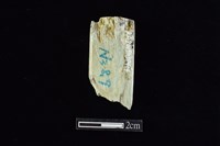 錛鑿形器藏品圖，第1張