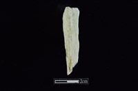 錛鑿形器藏品圖，第1張
